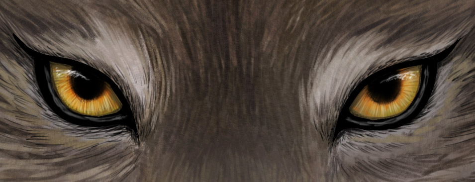 wolfeyes